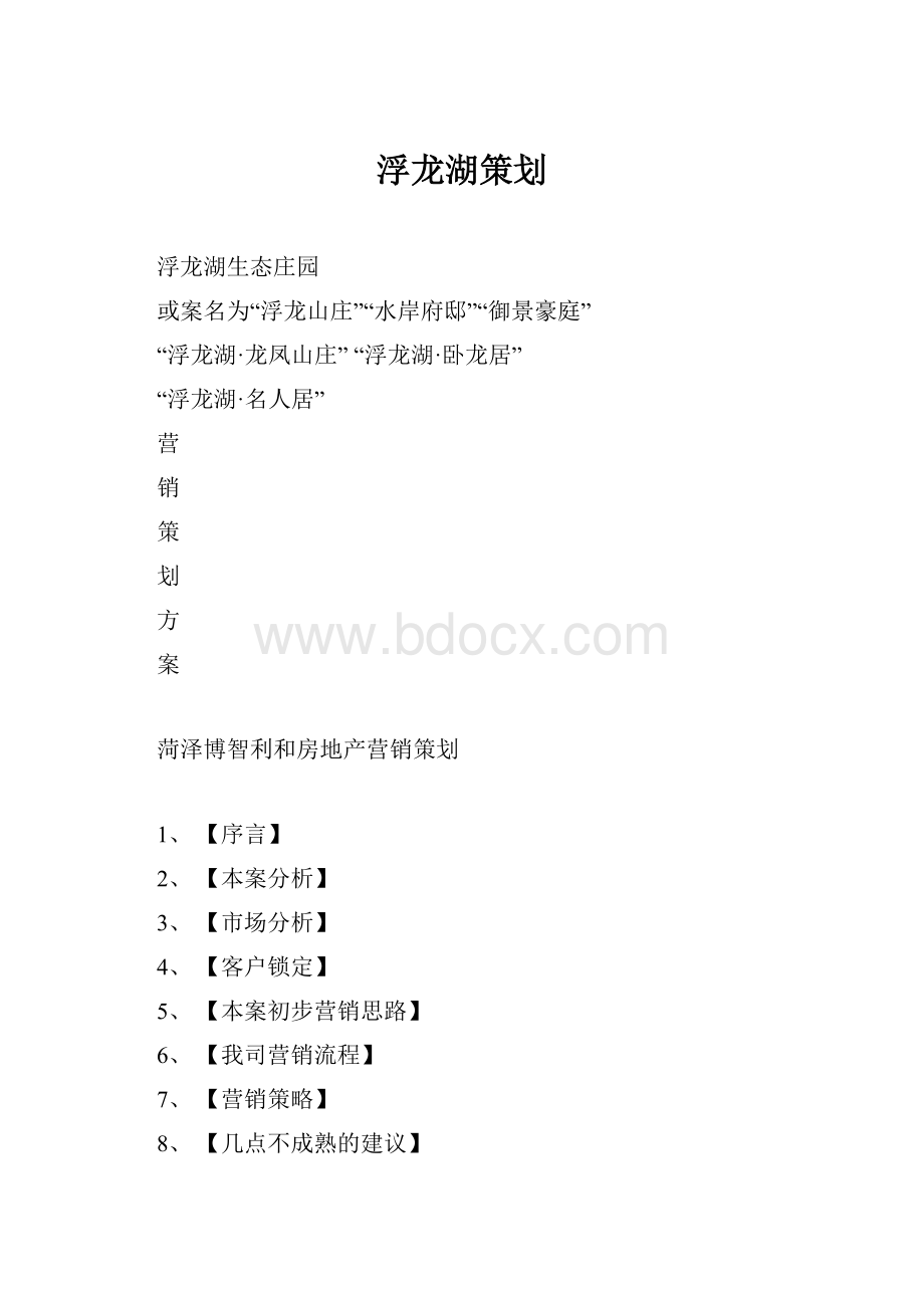 浮龙湖策划.docx