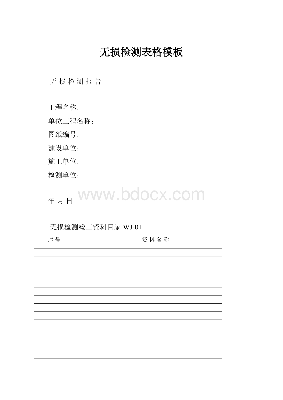 无损检测表格模板.docx