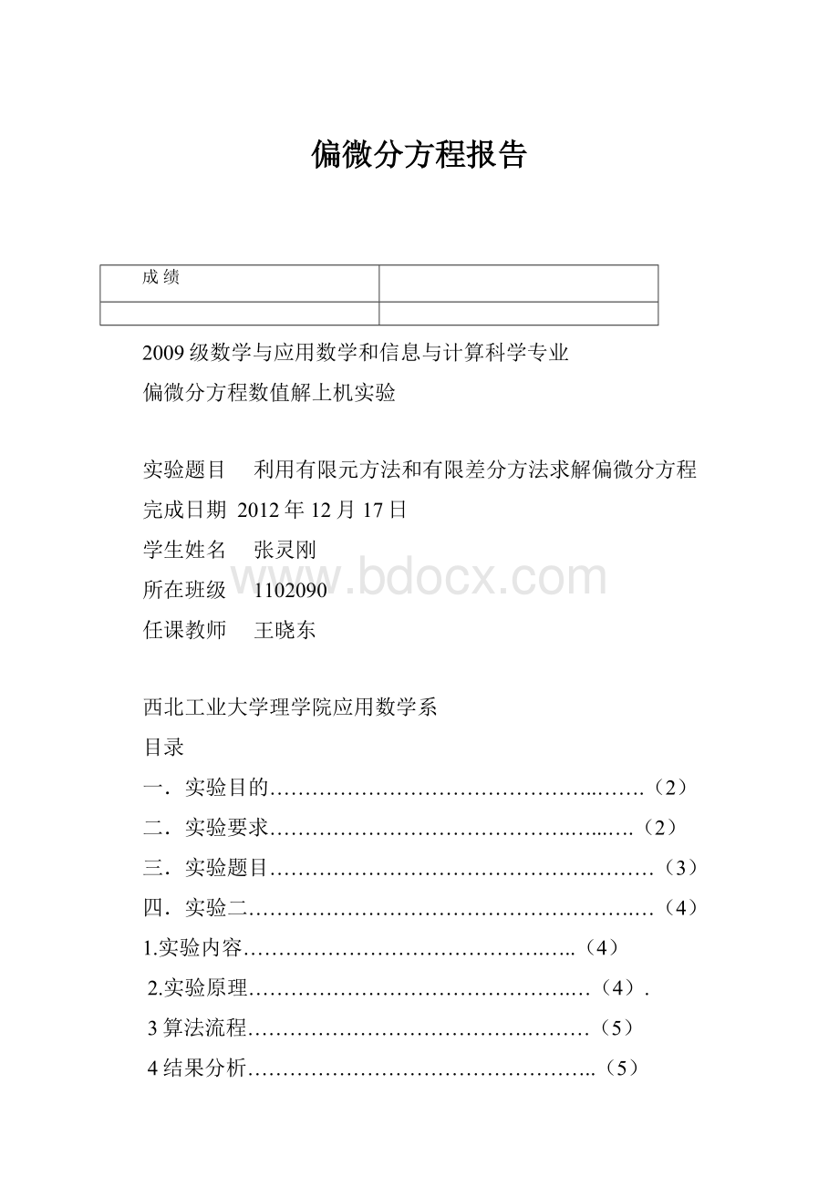 偏微分方程报告.docx