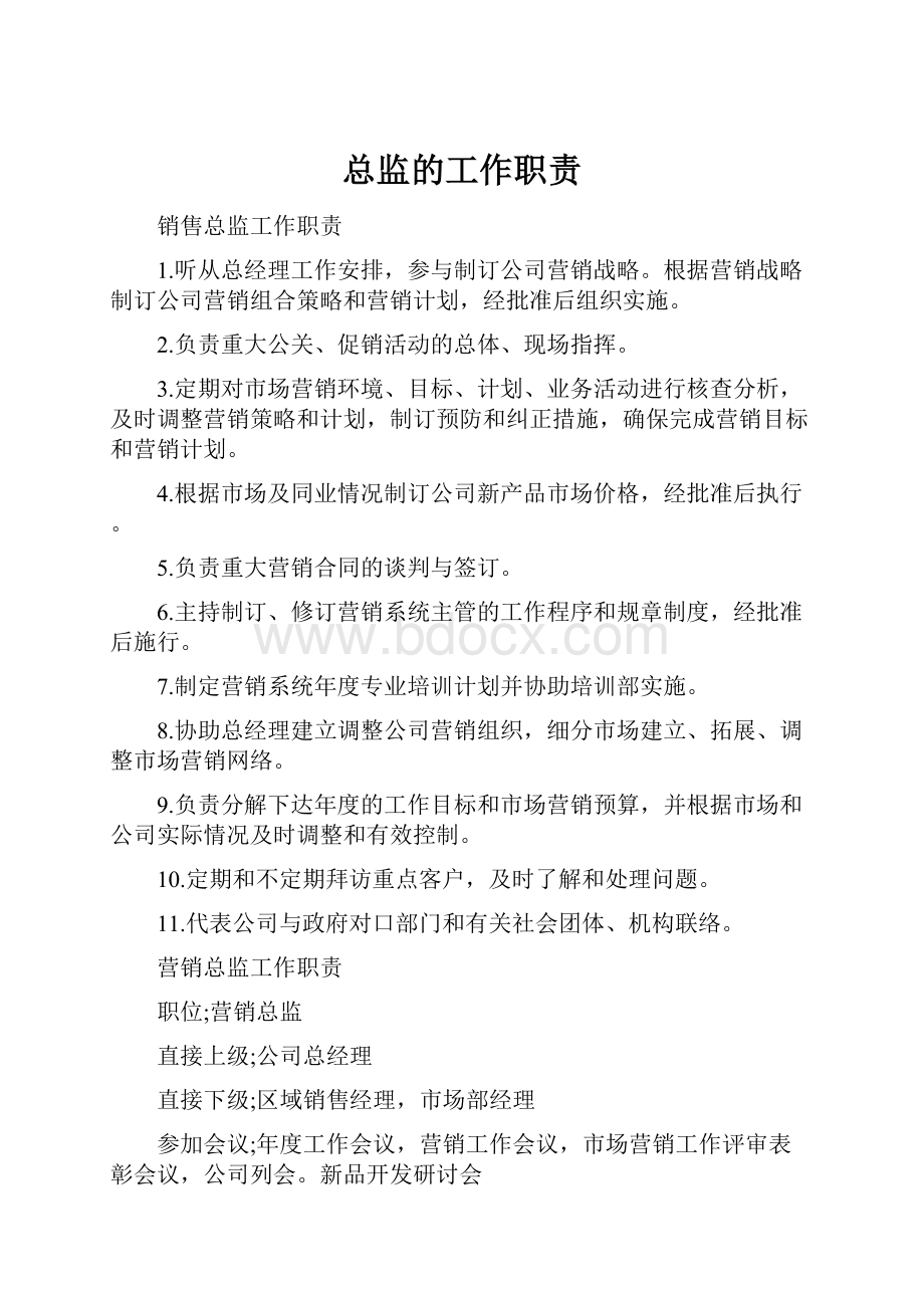 总监的工作职责.docx