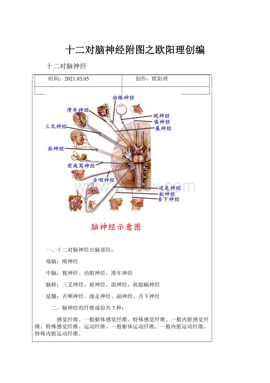 十二对脑神经附图之欧阳理创编.docx