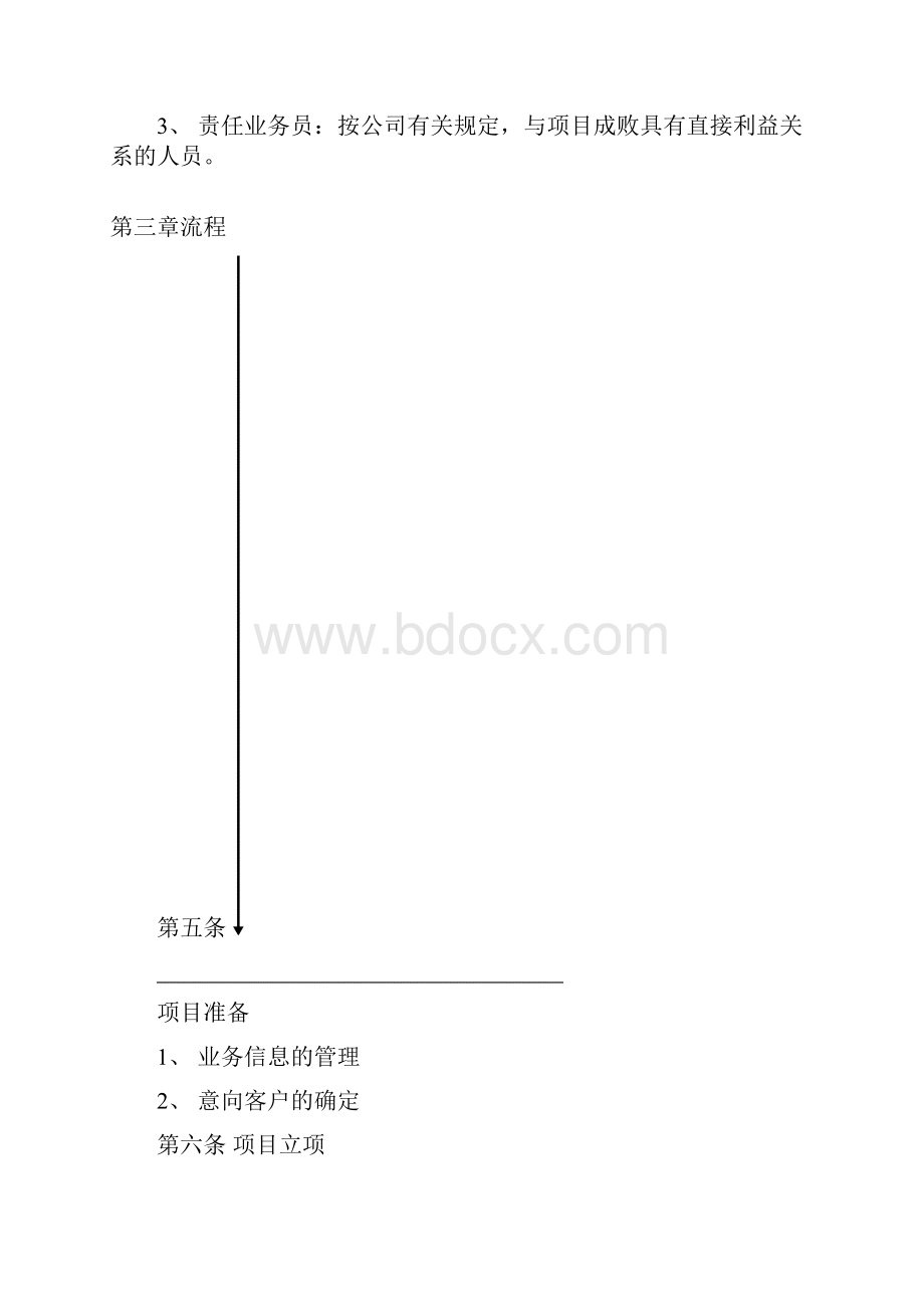 浙江星际信息产业股份项目管理制度.docx_第2页