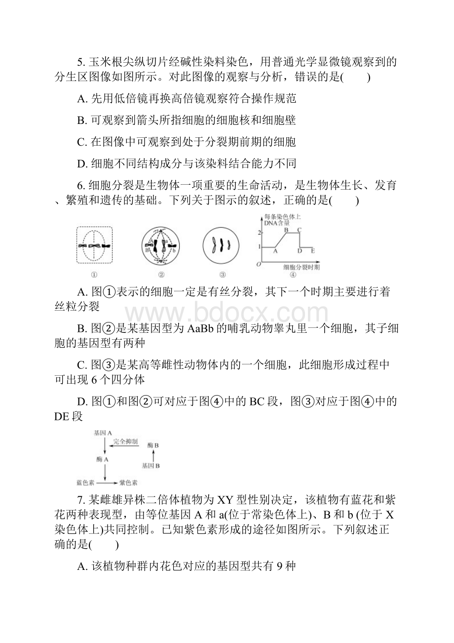 江苏省扬州市届高三第二次模拟考试生物.docx_第3页