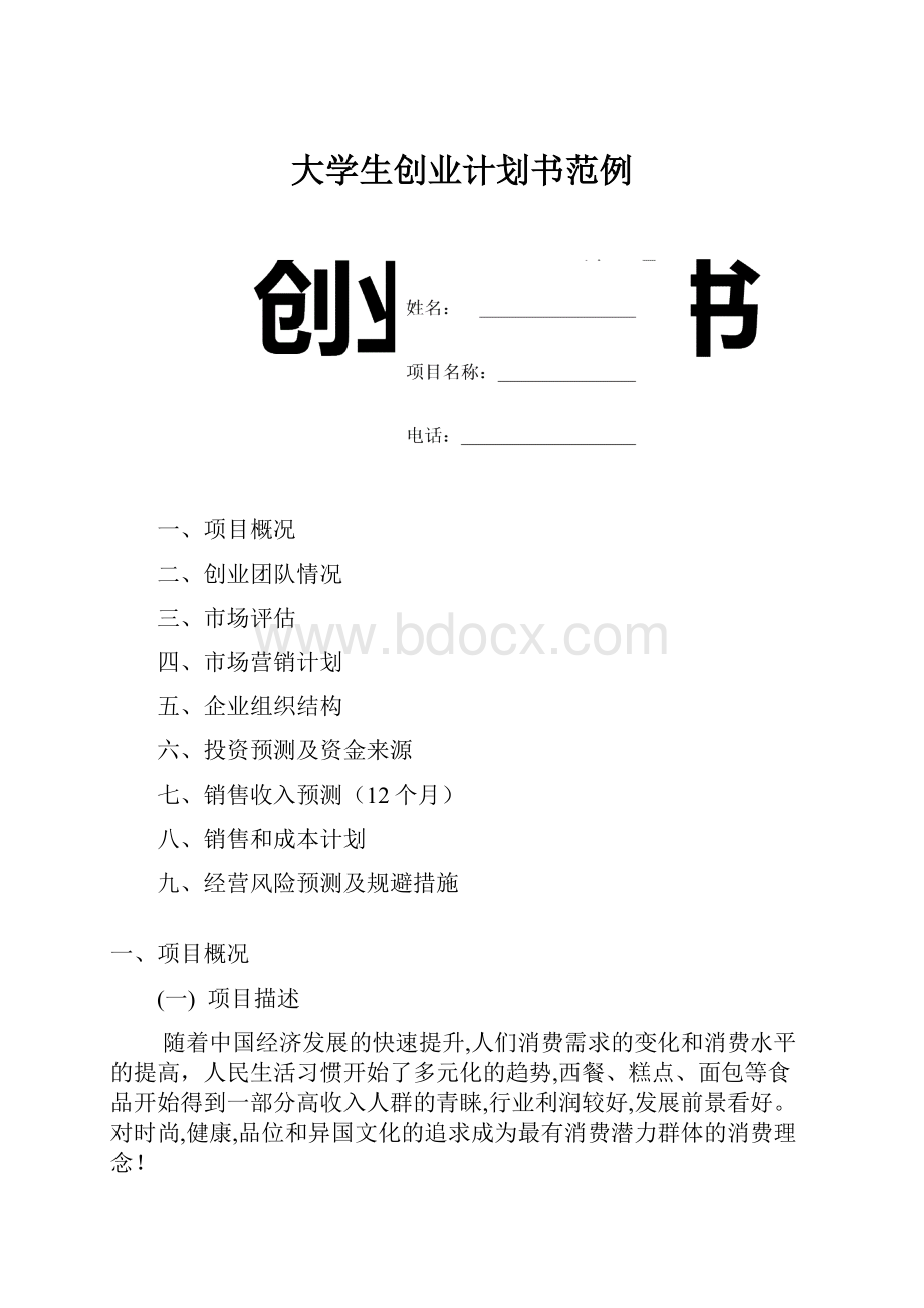 大学生创业计划书范例.docx