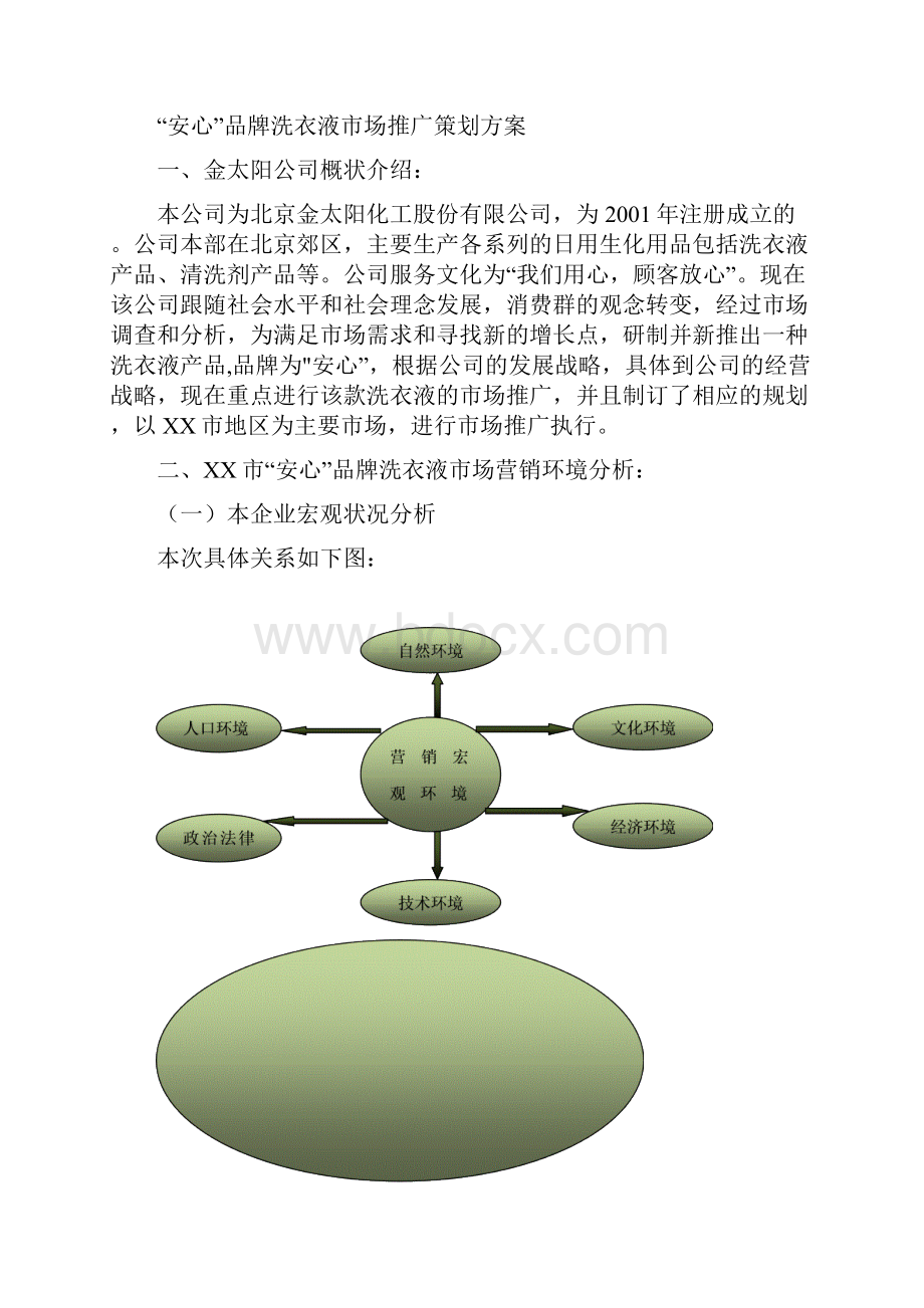 洗衣液新品上市推广营销策划方案.docx_第2页