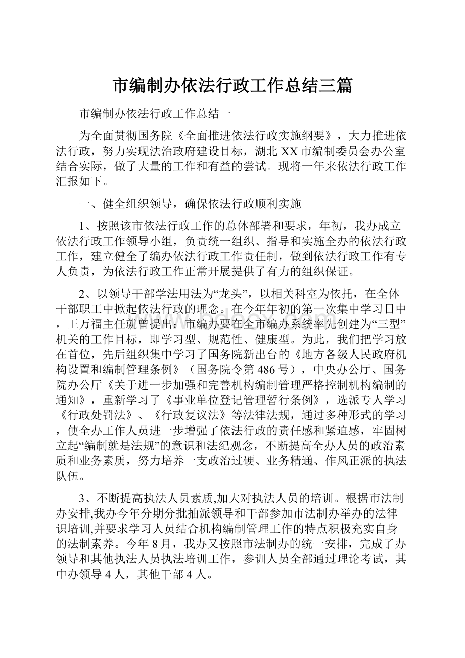 市编制办依法行政工作总结三篇.docx