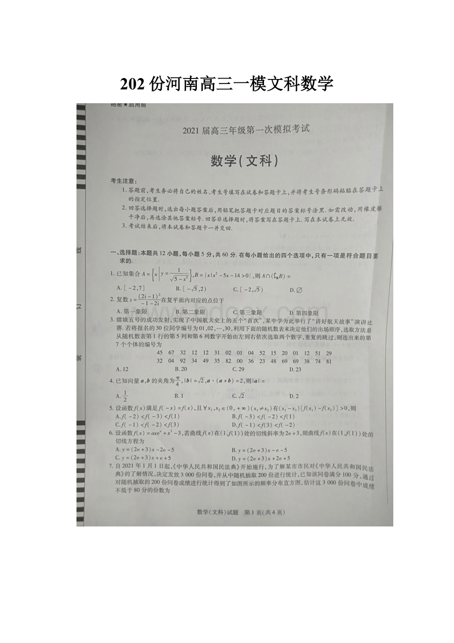 202份河南高三一模文科数学.docx