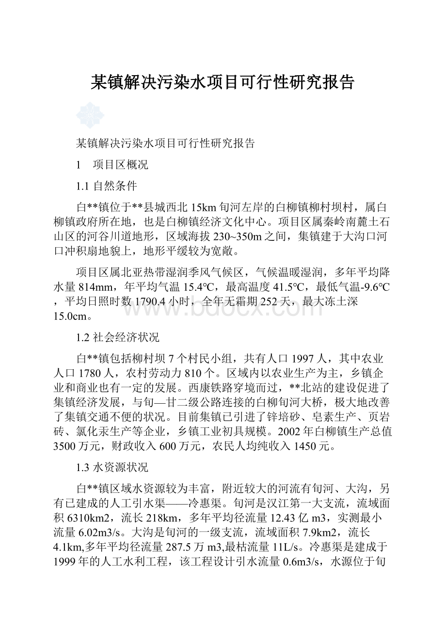 某镇解决污染水项目可行性研究报告.docx