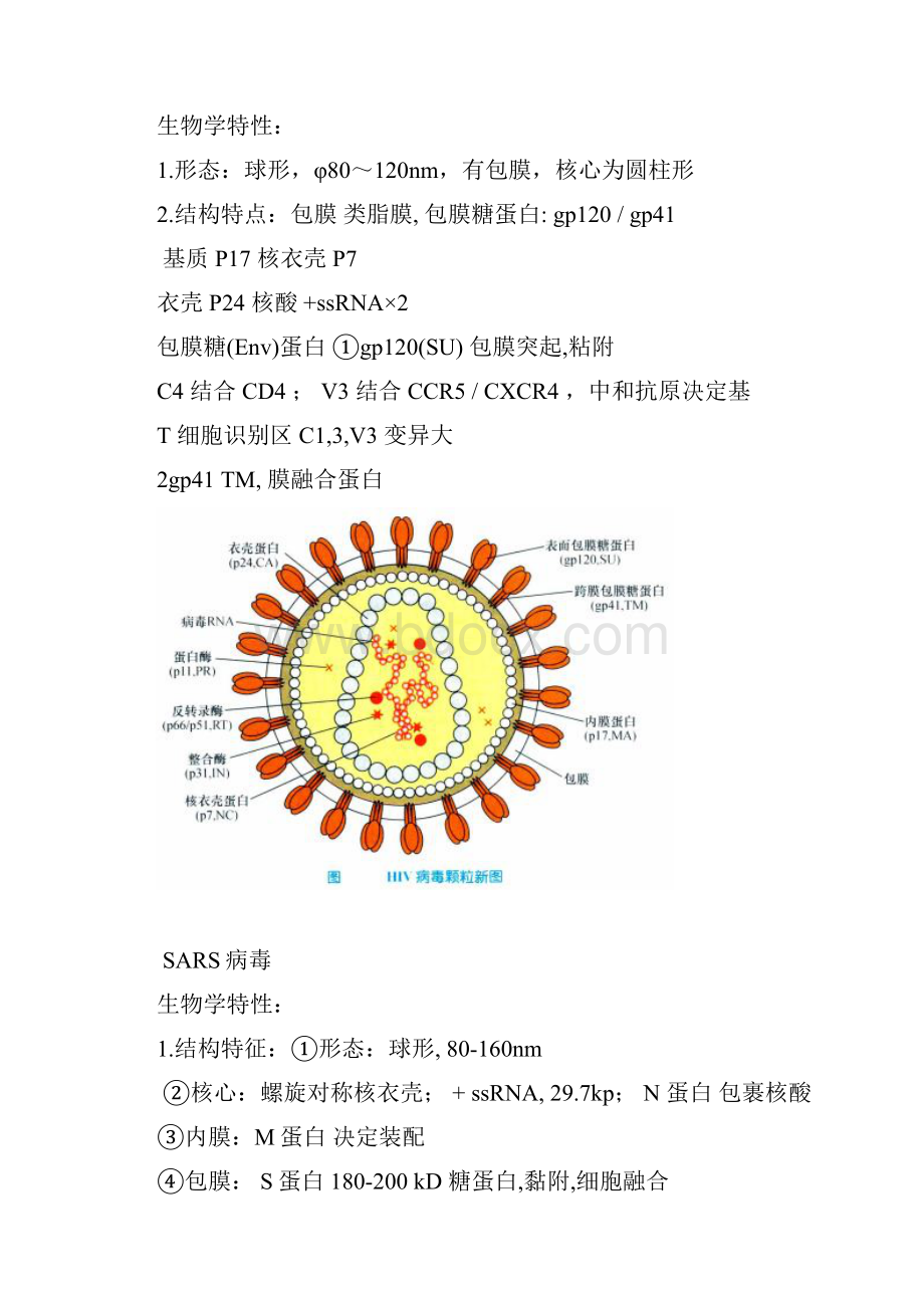 微生物免疫学各论知识点.docx_第3页