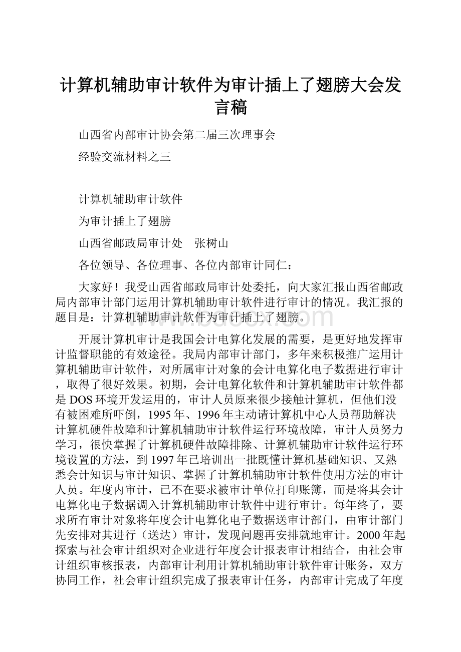 计算机辅助审计软件为审计插上了翅膀大会发言稿.docx