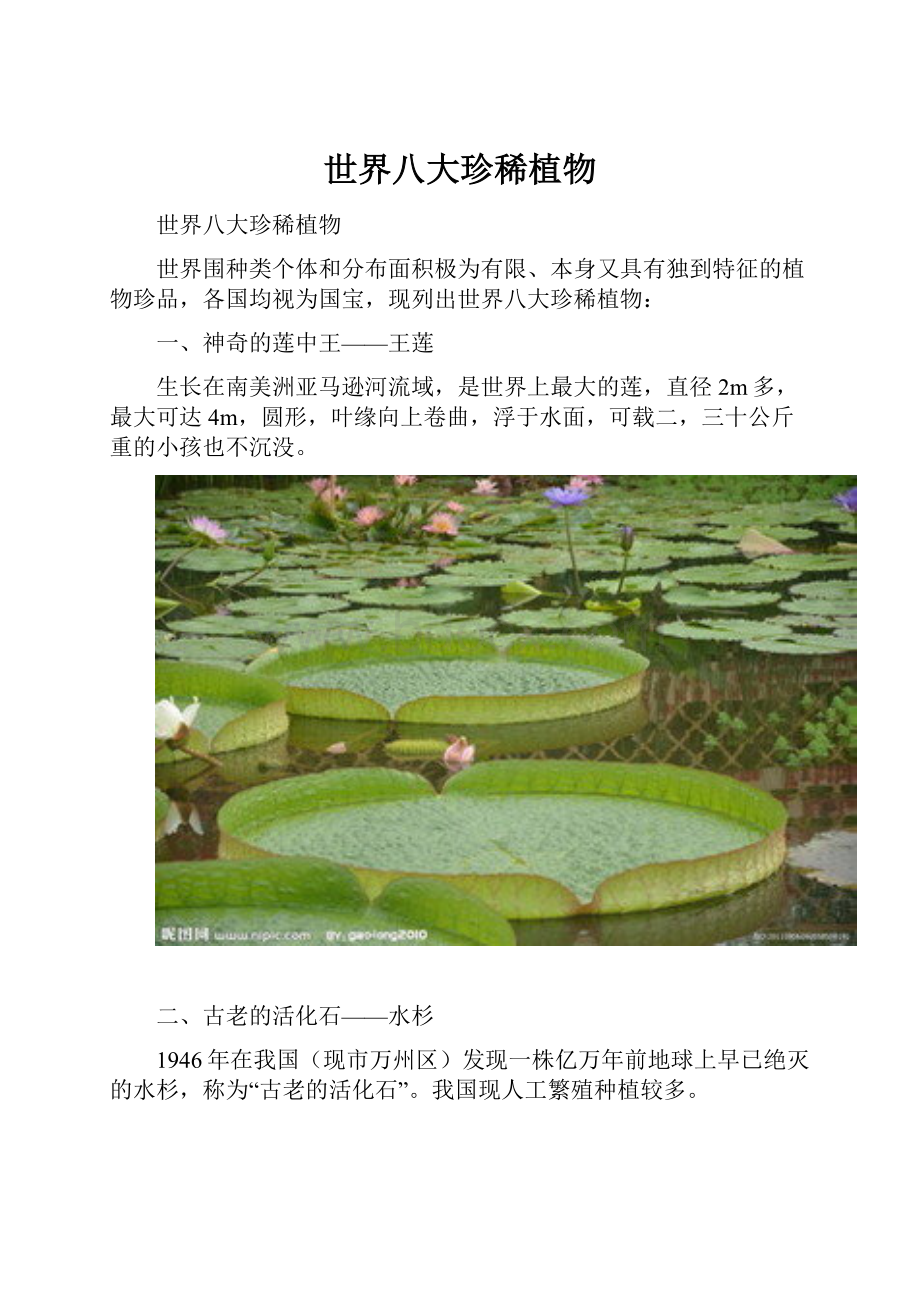 世界八大珍稀植物.docx