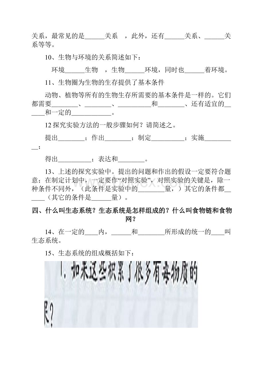 七年级上册复习要点.docx_第2页