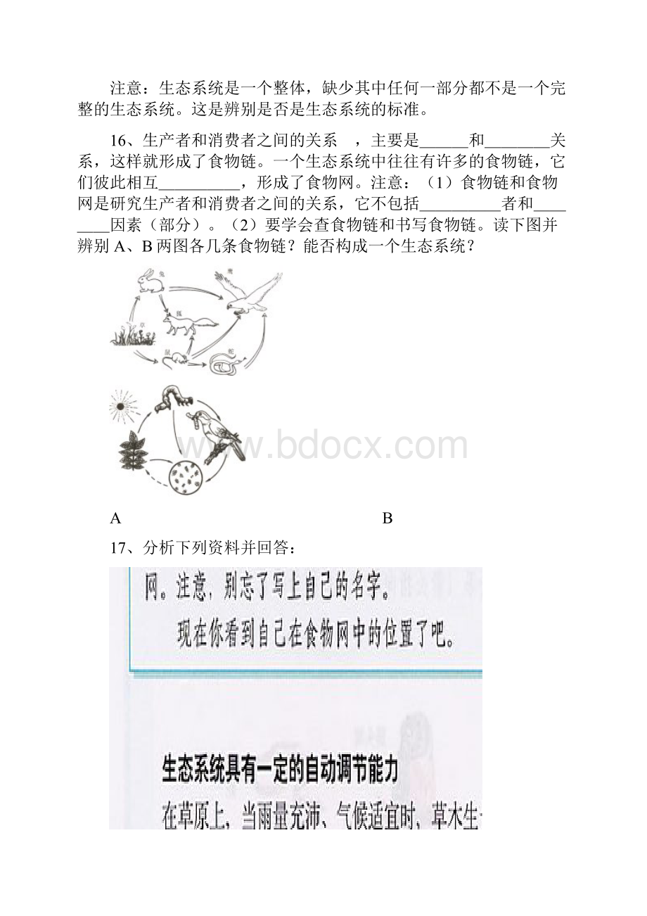 七年级上册复习要点.docx_第3页