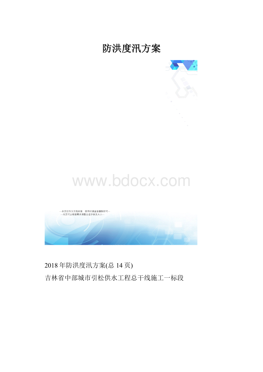 防洪度汛方案.docx