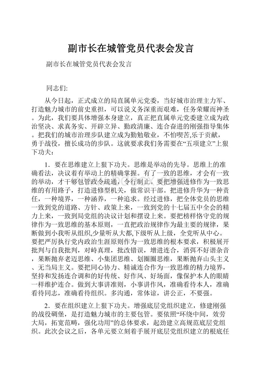 副市长在城管党员代表会发言.docx_第1页