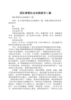 团队寒假社会实践报告三篇.docx