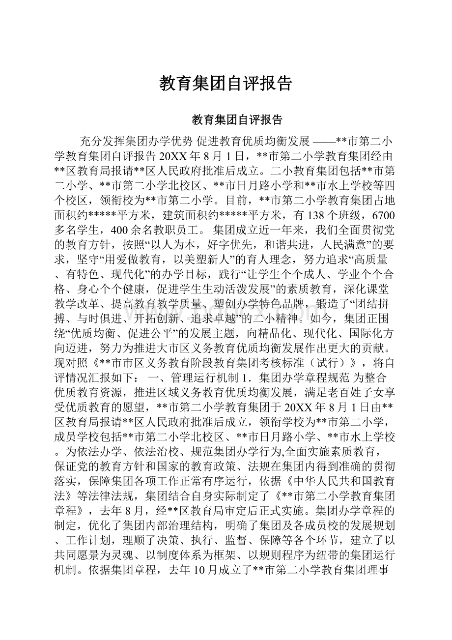 教育集团自评报告.docx