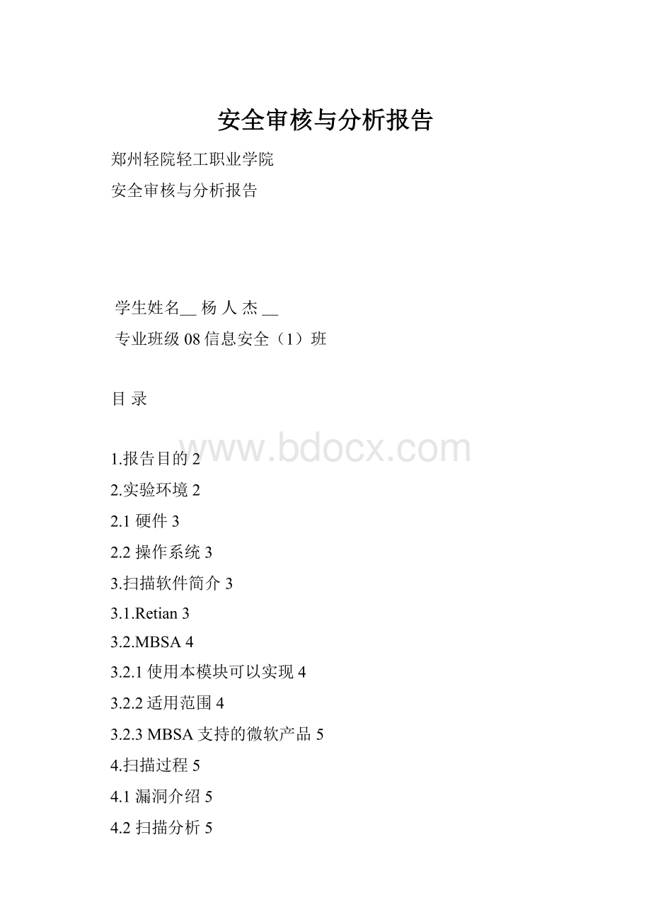 安全审核与分析报告.docx