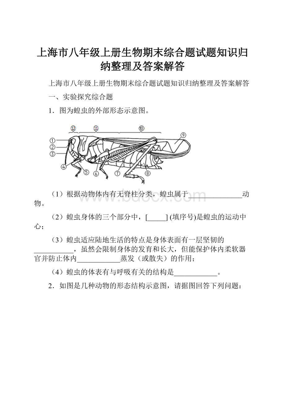 上海市八年级上册生物期末综合题试题知识归纳整理及答案解答.docx_第1页