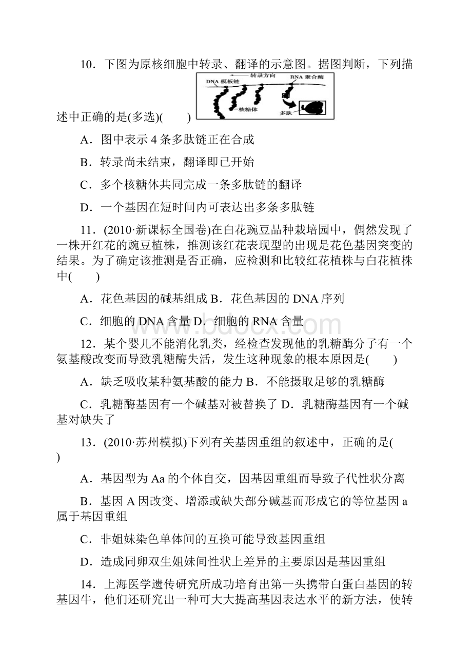 遗传的分子基础期末复习.docx_第3页