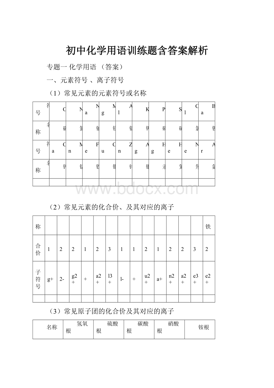 初中化学用语训练题含答案解析.docx