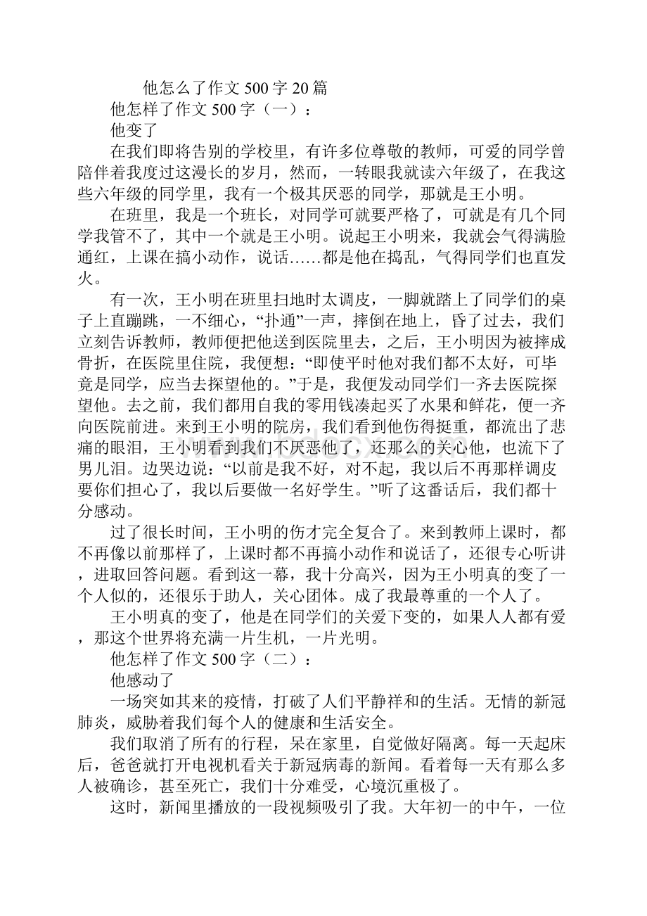 他怎么了作文500字.docx_第2页