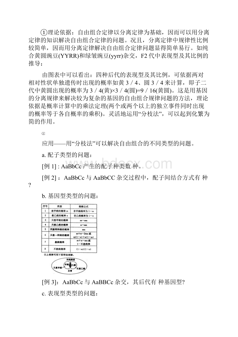 34自由组合2.docx_第2页