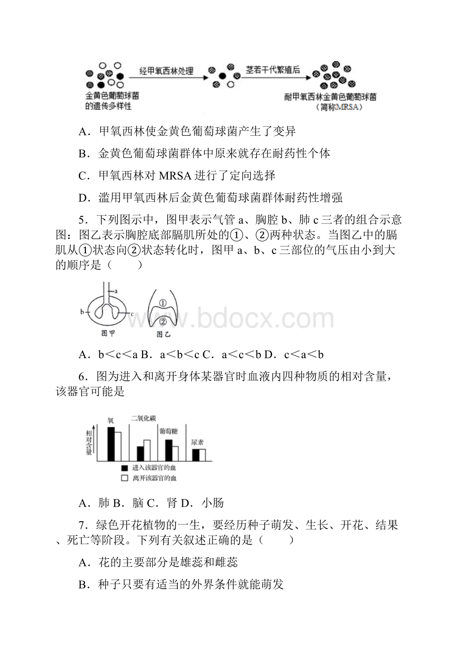 初中生物易错点试题含答案.docx_第2页