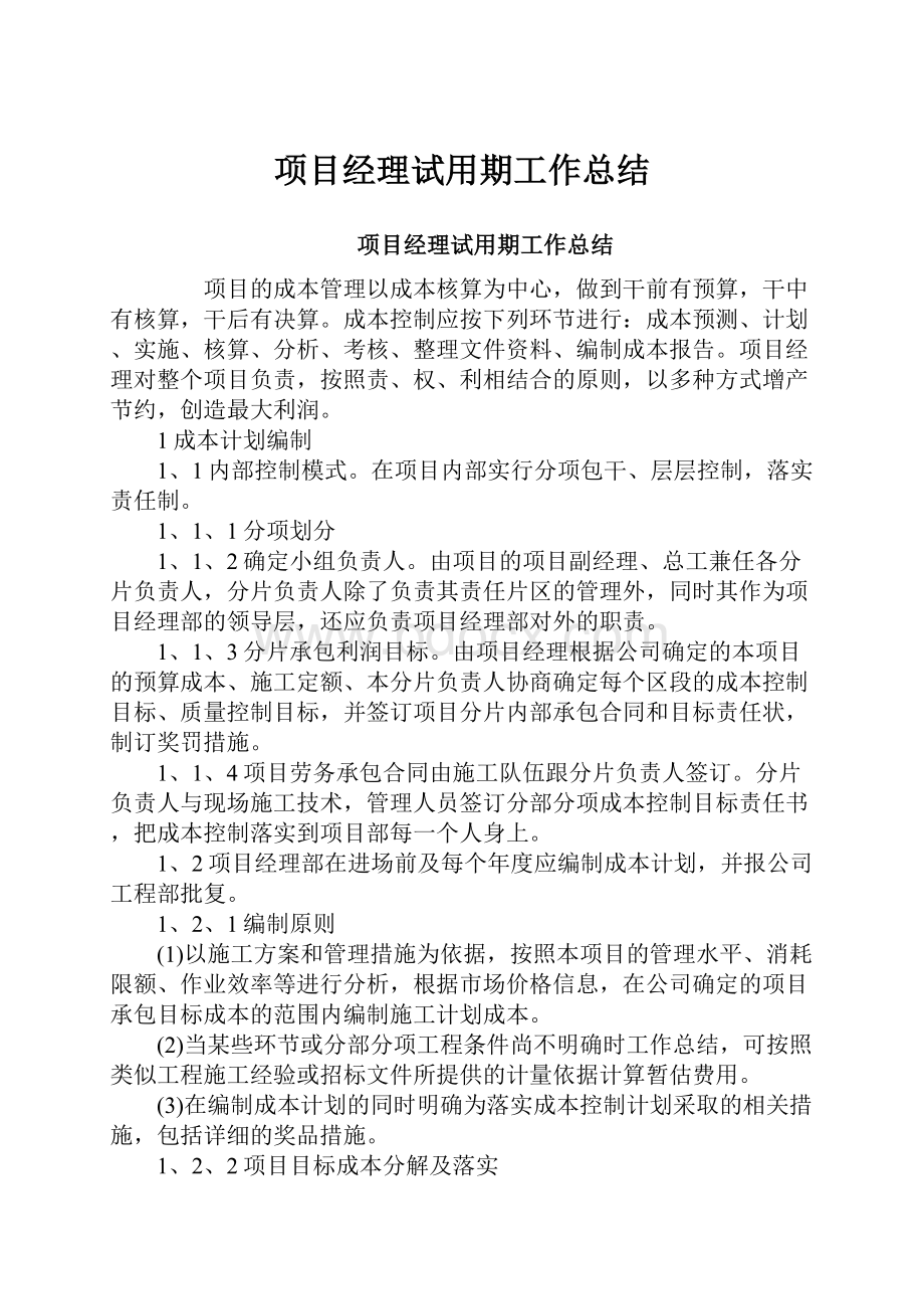 项目经理试用期工作总结.docx_第1页