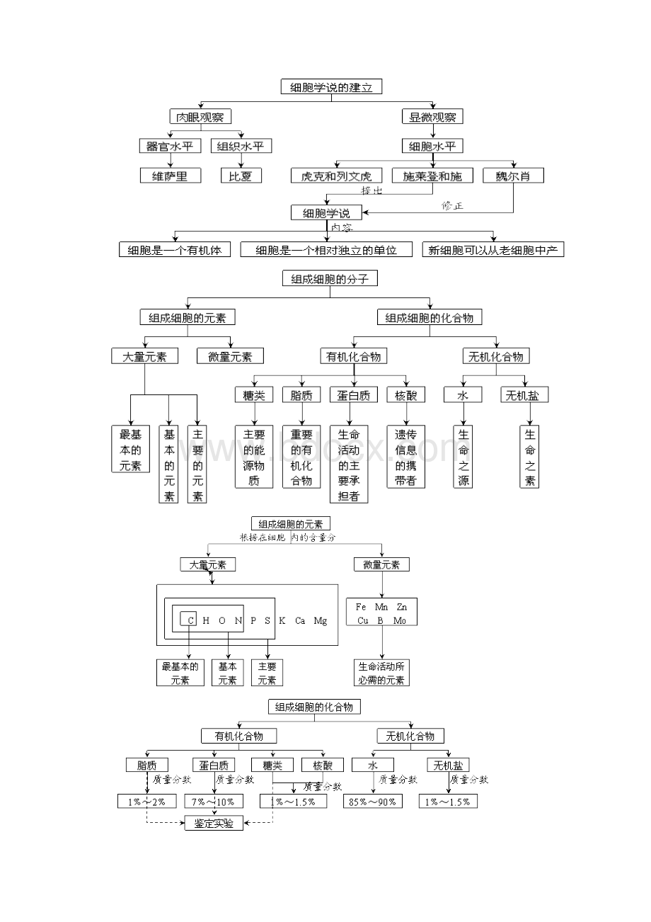 高中生物必修一 概念图.docx_第2页