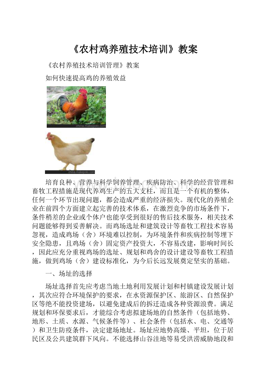 《农村鸡养殖技术培训》教案.docx