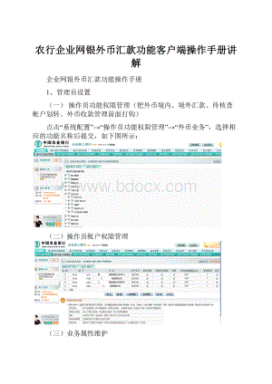 农行企业网银外币汇款功能客户端操作手册讲解.docx