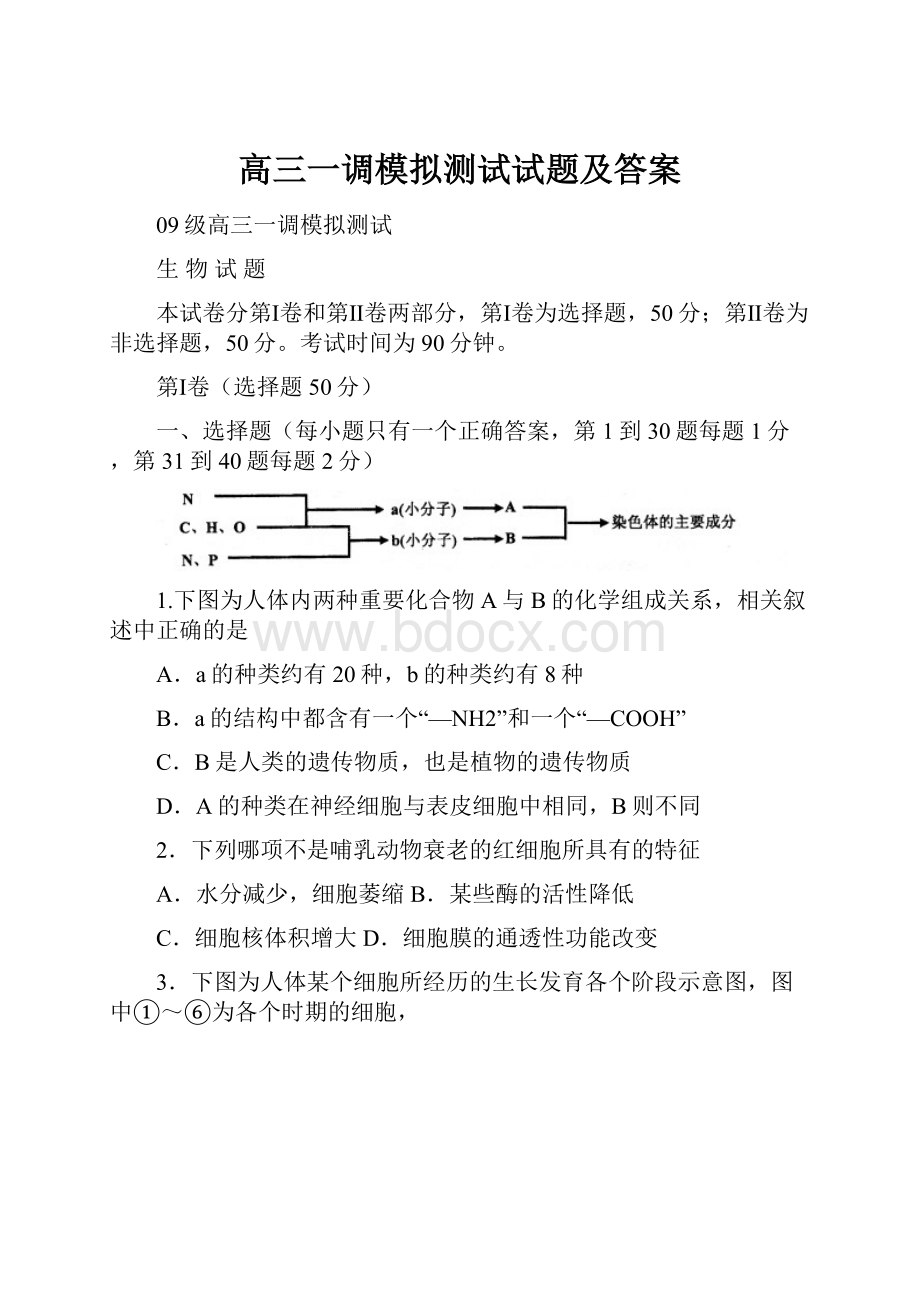 高三一调模拟测试试题及答案.docx