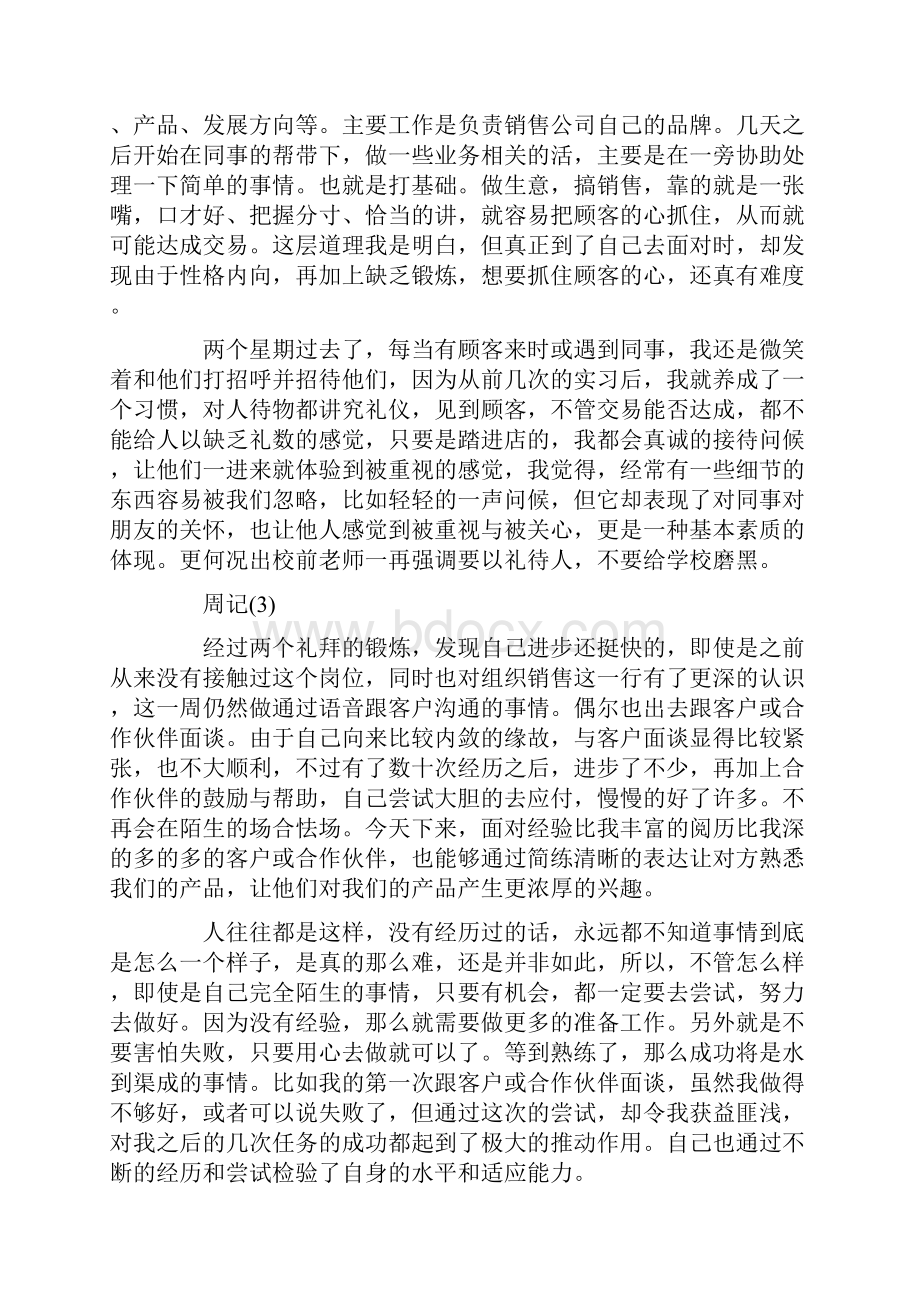 大学生暑假销售实习周记.docx_第2页