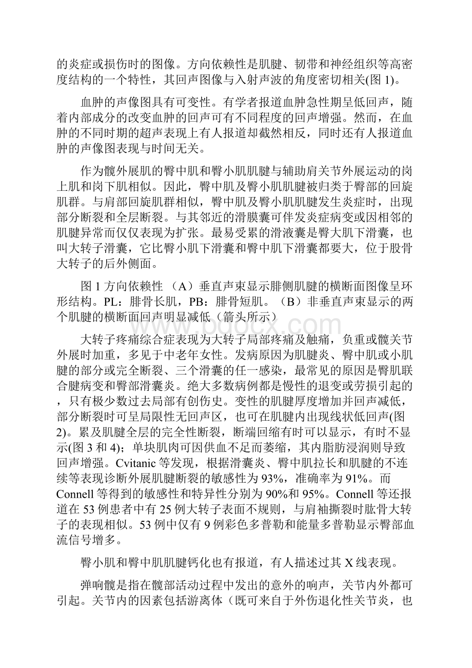 肌腱和肌肉的常见损伤之欧阳术创编.docx_第3页