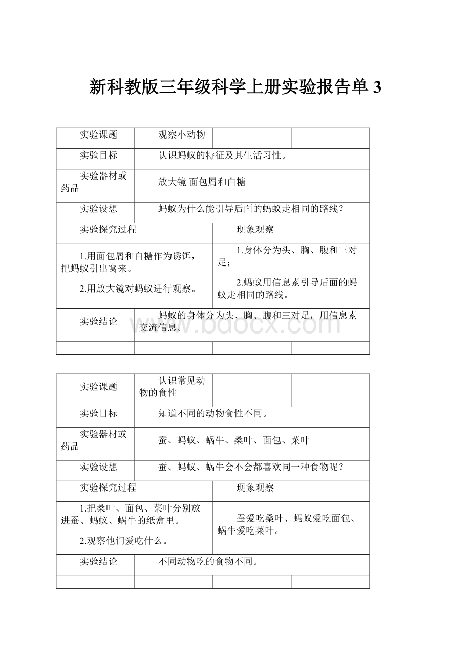 新科教版三年级科学上册实验报告单3.docx