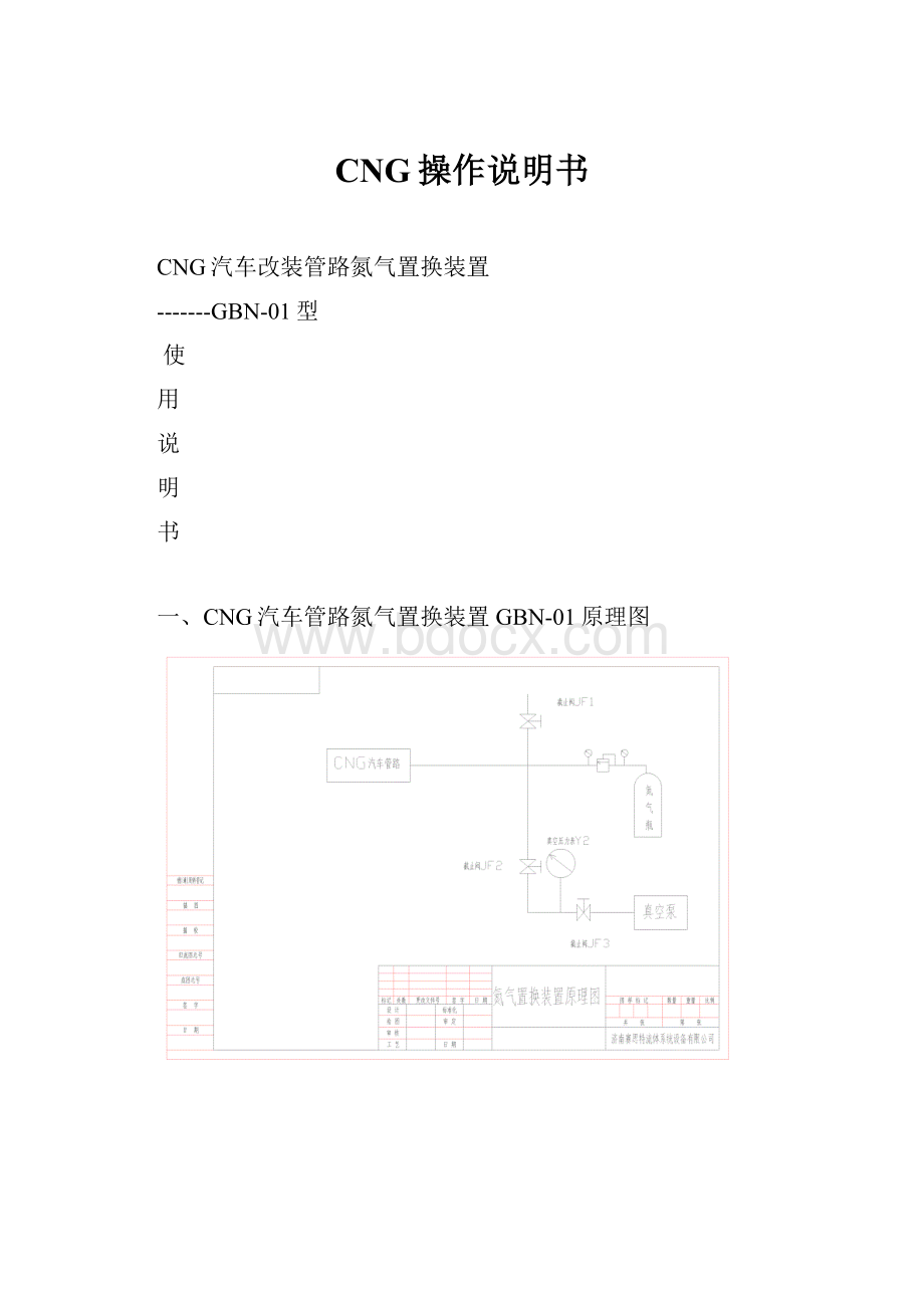 CNG操作说明书.docx