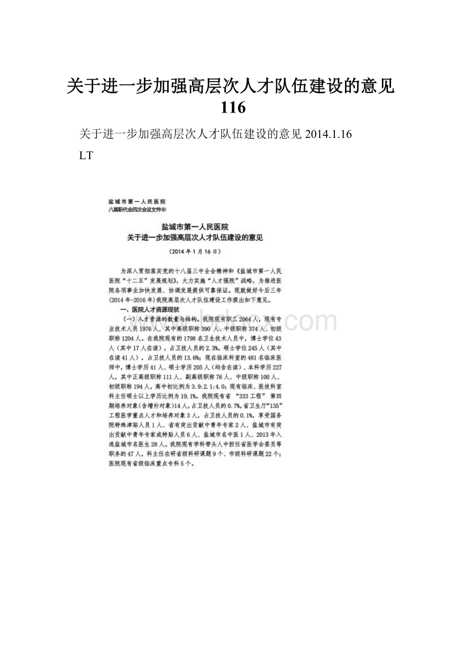 关于进一步加强高层次人才队伍建设的意见116.docx_第1页