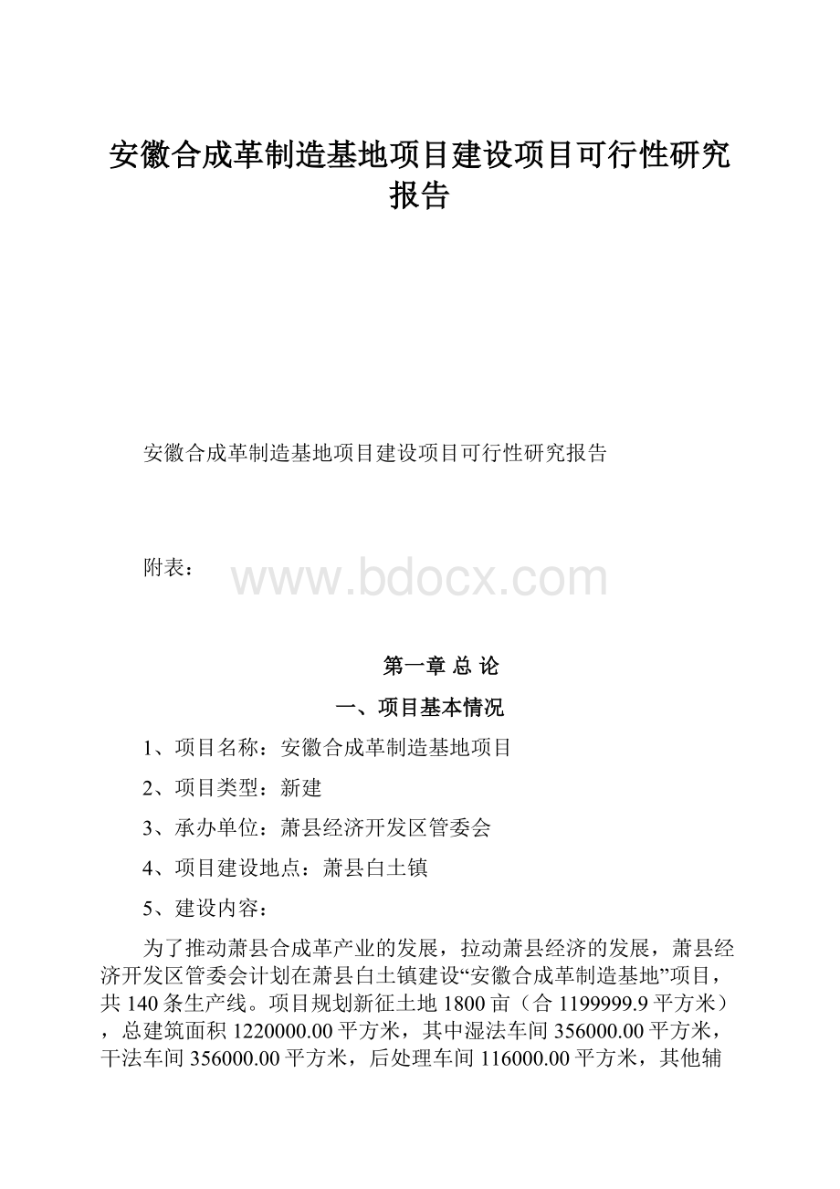 安徽合成革制造基地项目建设项目可行性研究报告.docx_第1页