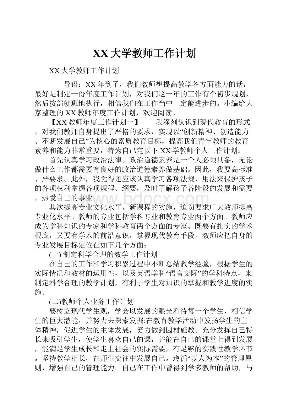 XX大学教师工作计划.docx