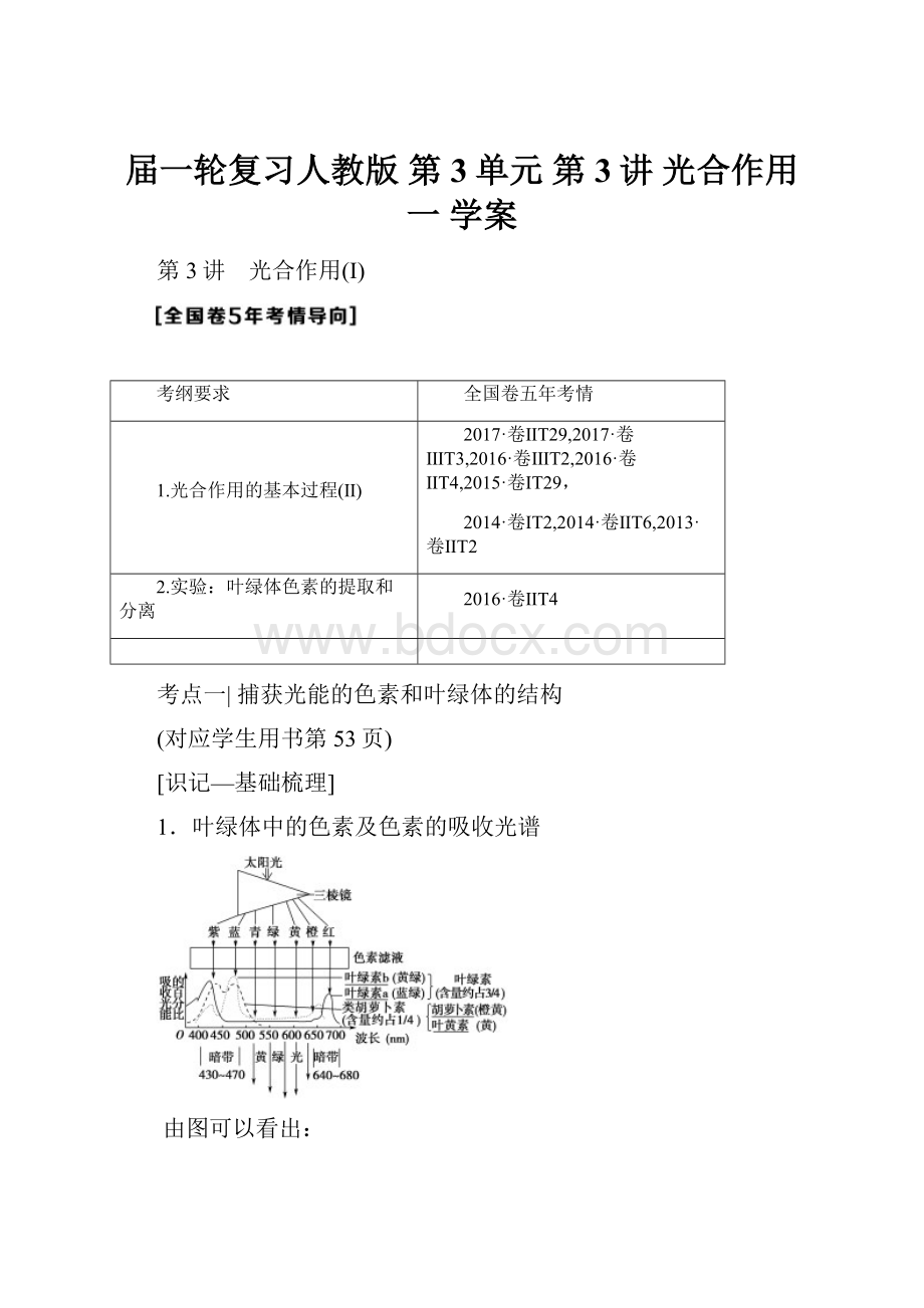 届一轮复习人教版 第3单元 第3讲 光合作用一 学案.docx