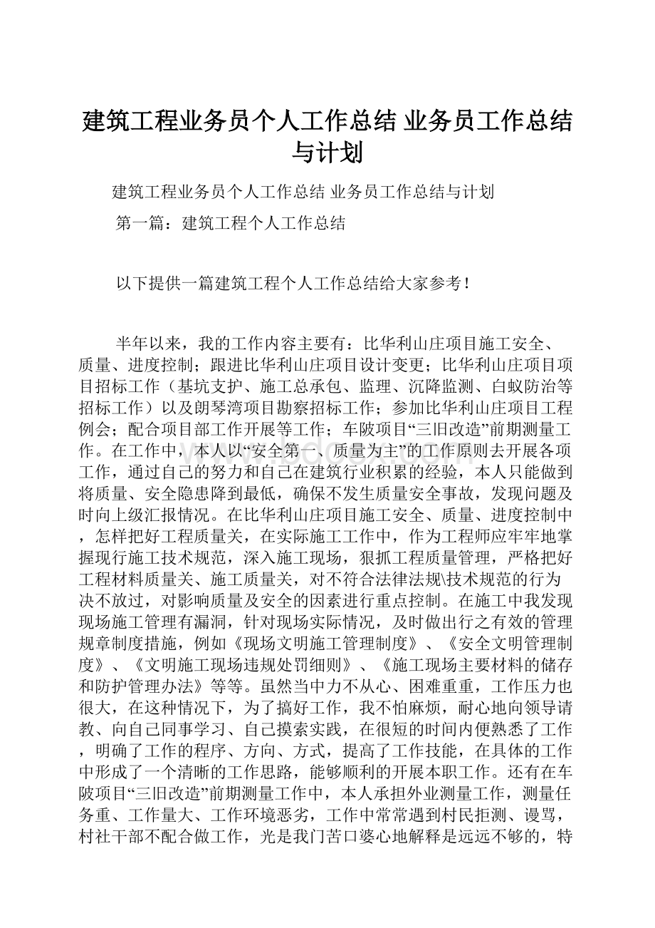 建筑工程业务员个人工作总结 业务员工作总结与计划.docx