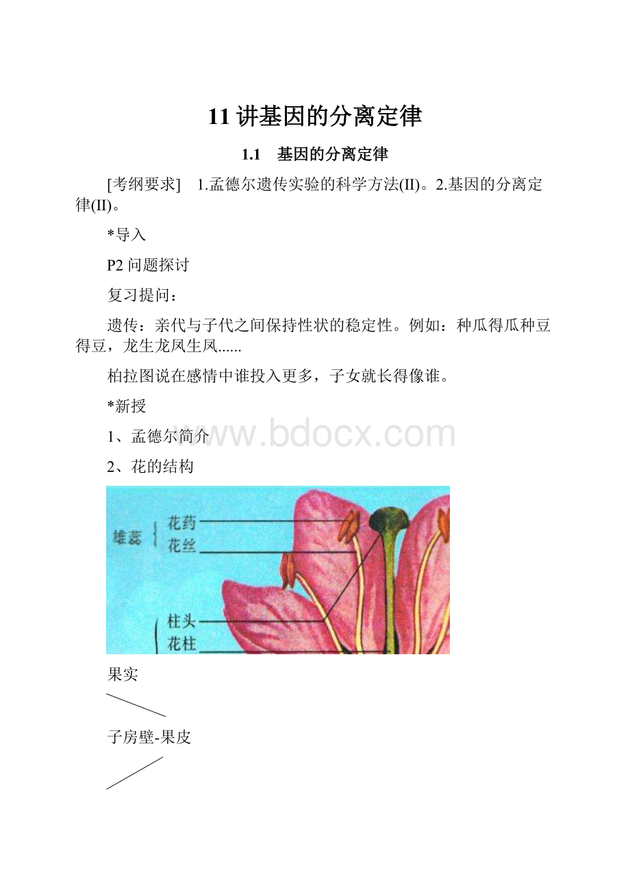 11讲基因的分离定律.docx