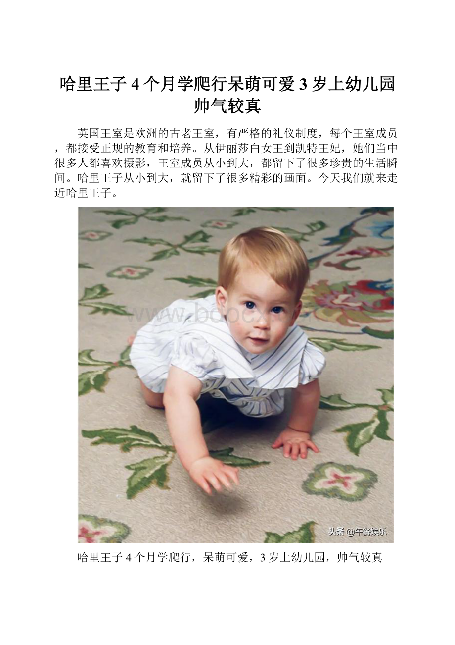 哈里王子4个月学爬行呆萌可爱3岁上幼儿园帅气较真.docx