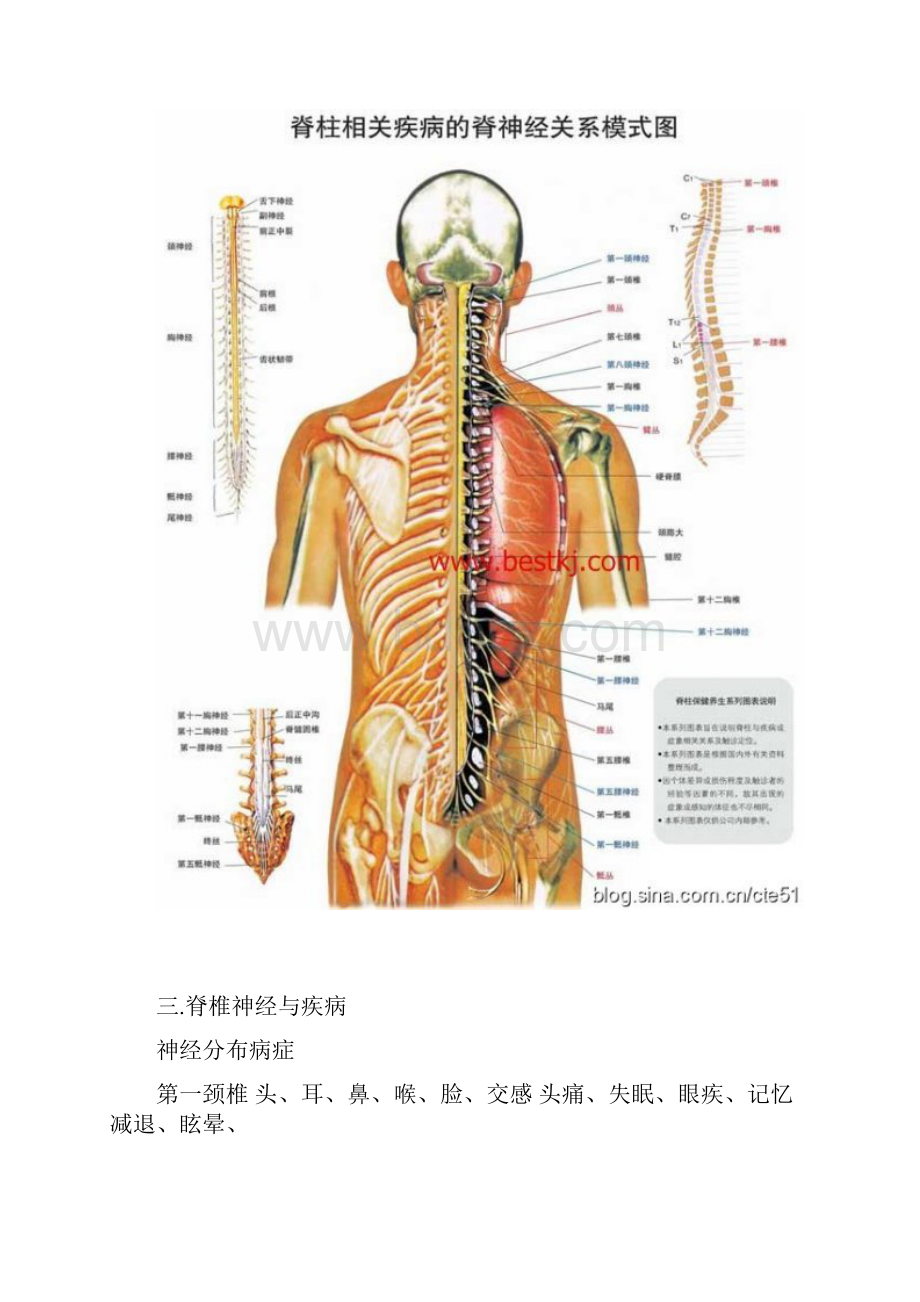 整脊疗法教程.docx_第3页