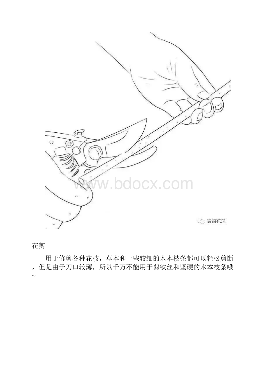 你不得不知的专业花艺师必备插花工具清单.docx_第3页