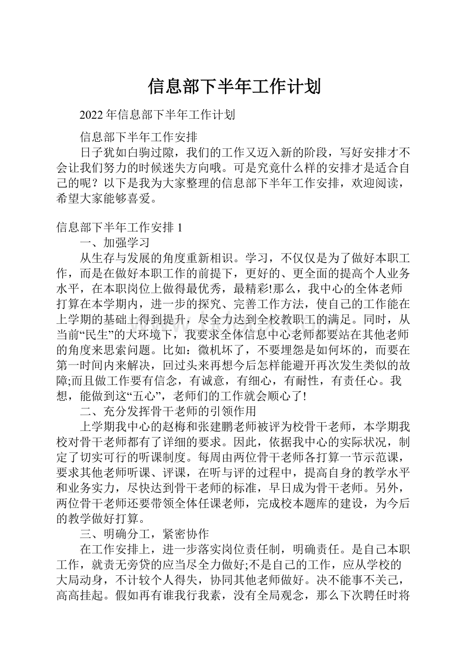 信息部下半年工作计划.docx