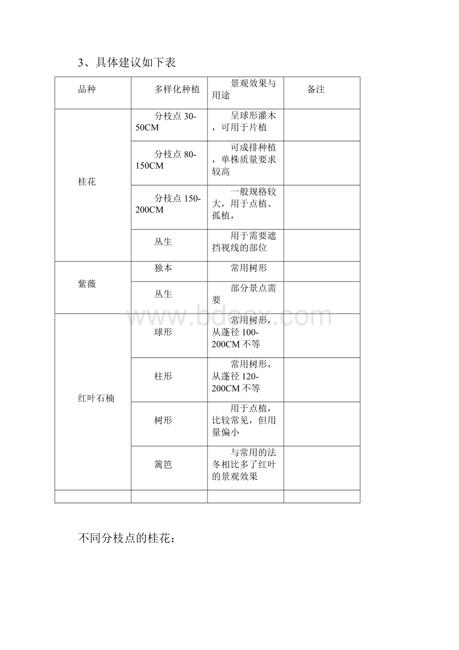 普通苗木苗圃种植规划.docx_第2页