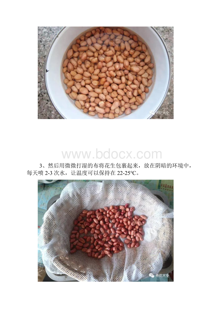 几粒豆子掺点水3天就爆盆再也不用买菜了养花技巧.docx_第3页