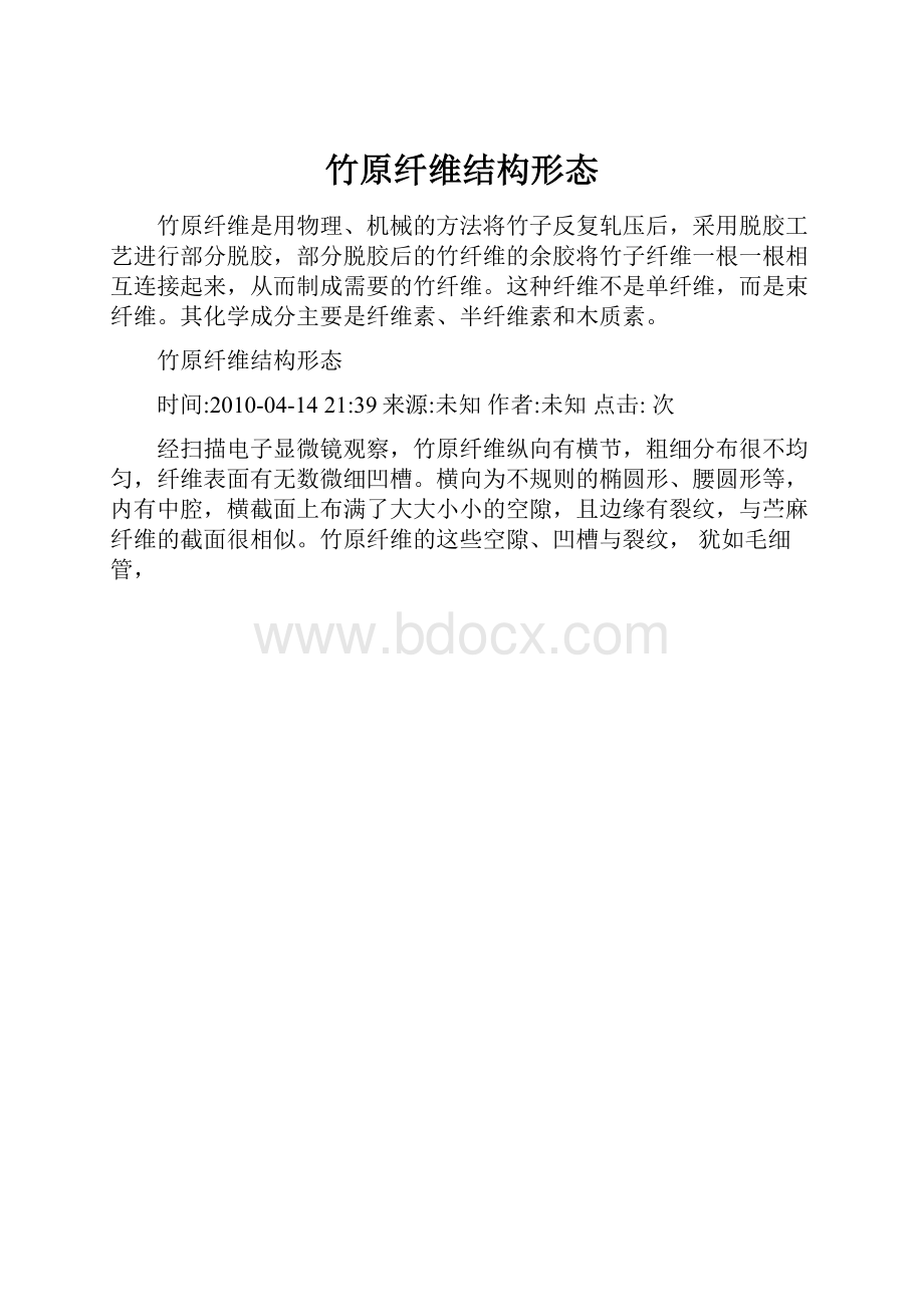 竹原纤维结构形态.docx